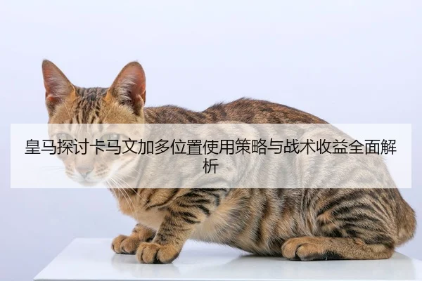 皇马探讨卡马文加多位置使用策略与战术收益全面解析